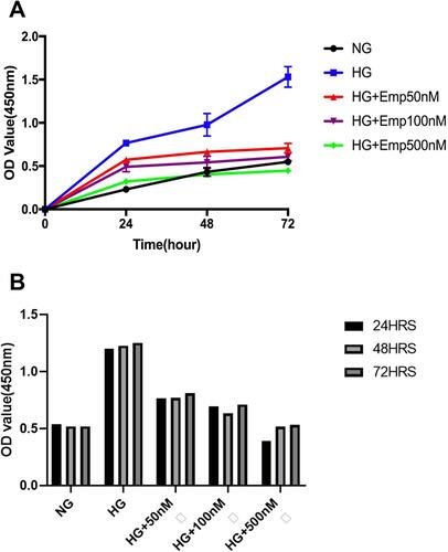 Figure 6 The anti-proliferative effect of empagliflozin on HK-2 cell line. Empagliflozin treatment significantly decreased cell proliferation induced by high glucose (P <0.0001). (A) HK-2 cells were planted in 5.5mM glucose and 25mM glucose with or without Empagliflozin treatment for 72 h. CCK-8 assay solution was added to detect cell proliferation. OD values were detected at 24 h, 48 h, and 72 h. (A, B). The data represents the mean ± SD of three independent experiments.