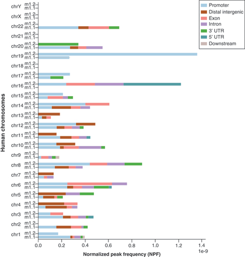 Figure 3. Stacked bar plot of normalized peak frequency of macroH2A1.1 and macroH2A1.2 for each human chromosome.Bars are split into gene regions.