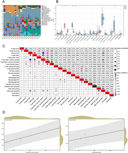 Figure 11 Analysis of immune cell infiltration. (A) The plot of the percentage of LM22 in RA samples using the CIBERSORT algorithm, where the horizontal coordinate is the sample and the vertical coordinate is the percentage of immune cells, and the legend shows the LM22 species; (B) Box plots of immuno-infiltrating cells in the RA versus HC groups, with the RA group in red and the HC group in blue (*P < 0.05,**P < 0.01,***P < 0.001, ****P < 0.0001); (C) Correlation matrix analysis between immune cells in RA groups. Both horizontal and vertical coordinates are LM22, with positive correlations in red and negative correlations in blue (*P < 0.05,**P < 0.01,***P < 0.001, ****P < 0.0001); (D) Correlation analysis of CASP8 expression with memory-activated CD4+ T cells and Tfh.