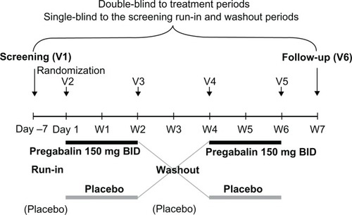 Figure 1 Schematic representation of the study design.