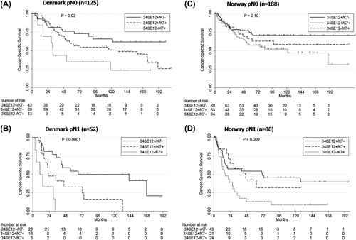 Figure 3. Cancer-specific survival related to the significant interaction between lymph node status and keratin expression in the Danish and Norwegian validation cohorts. The interaction between keratin expression and lymph node status demonstrated that the effect of keratin expression is most significant in lymph node-positive tumors. (A-B) Cancer-specific survival and keratin expression in (A) lymph node-negative and (B) lymph node-positive tumors in the Danish cohort. (C-D) Cancer-specific survival and keratin expression in (C) lymph node-negative tumors and (D) lymph node-positive tumors in the Norwegian validation cohort.