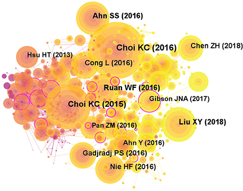 Figure 11 Map of cited references related to PELD for lumbar disc herniation from 2013 to 2022.