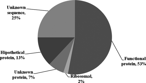 Figure 1.  Distribution of the unigene annotations from the C. arabica var. Caturra and C. liberica assemblage.