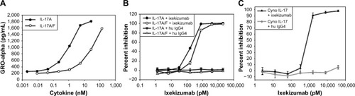 Figure 3 Ixekizumab neutralizes human IL-17A, human IL-17A/F heterodimer, and cynomolgus monkey IL-17A.Notes: (A) HT-29 cells were treated with a dose range of human IL-17A or IL-17A/F for ∼48 hours. GROα was measured in the culture medium by ELISA. (B) HT-29 cells were treated with a constant amount of either human IL-17A (60 ng/mL =1,875 pM) or human IL-17A/F (1,000 ng/mL =32,573 pM), in the presence of either ixekizumab or control human IgG4 at the indicated concentrations. After ∼48 hours, GROα in the culture media was measured by ELISA. (C) HT-29 colon cancer cells were treated with a constant amount of cynomolgus monkey IL-17 (60 ng/mL), in the presence of either ixekizumab or control human IgG4 at the indicated concentrations for 48 hours, and GROα in the culture media measured by ELISA. Results in (A) and (B) are shown as the mean of triplicate treatments ± SD and are representative of seven independent experiments. Results in (C) are shown as the mean of triplicate treatments ± SD and are representative of two independent experiments. Human and cynomolgus monkey IL-17A were tested for neutralization in separate experiments.Abbreviations: cyno, cynomolgus; ELISA, enzyme-linked immunosorbent assay; IL, interleukin; SD, standard deviation; GRO, human growth-regulated oncogene.
