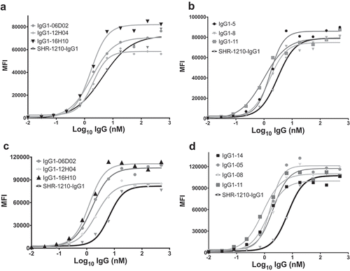 Figure 6. Flow cytometric binding to human and cyno PD1+ CHO cells.SHR-1210-IgG1, lead library-derived (A) and designer (B) IgGs were examined for specific binding on CHO-K1 cells expressing human PD1. SHR-1210-IgG1, lead library-derived (C) and designer (D) IgGs were also examined for specific binding on CHO-K1 cells expressing cyno PD1. Concentration-dependent binding was observed against human and cyno PD1 for all clones, with weaker binding being observed for SHR-1210-IgG1 in each experiment.