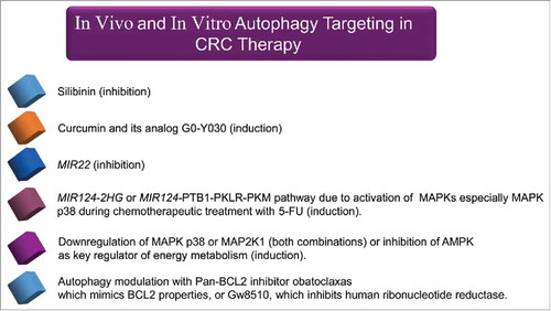 Figure 10. Autophagy targeting strategies in in vitro and in vivo models of CRC. All chemical compounds, drugs, and inhibitors have been introduced in the section “Therapeutic targeting of the autophagy pathway.”