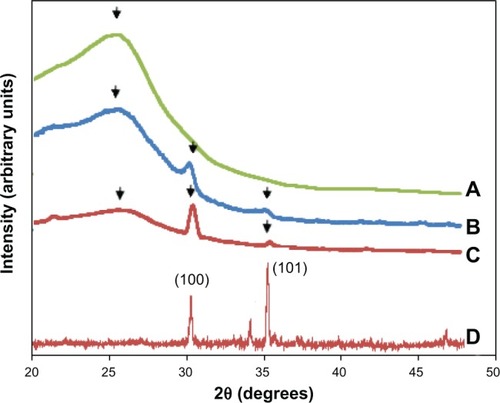 Figure 3 X-ray diffraction patterns of (A) pure Ppy/CS, (B) Ppy/ZnO/CS 5%, (C) Ppy/ZnO/CS 10% composite films, and (D) ZnO nanopowder.Abbreviations: Ppy, polypyrrole; CS, chitosan; ZnO, zinc oxide.