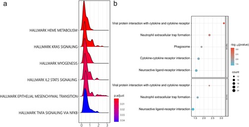 Figure 6. Underlying mechanisms related to risk score subgroup. (a) GSEA of the DEGs between the high- and low-risk groups. (b) KEGG enrichment analysis of DEGs between high-risk and normal samples, as well as between the low-risk group and normal sample.