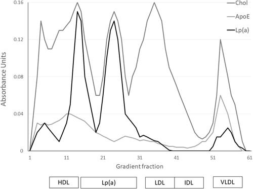 Figure 1 Distribution of Lp(a) within a density gradient profile compared to other lipid fractions showing the association of the distribution of apolipoprotein E with subfractions of Lp(a).