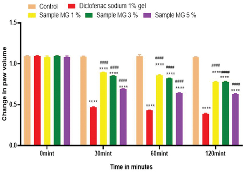Figure 16. Anti-inflammatory activity of hydrogel formulations (MG) with polyherbal methanolic extracts.