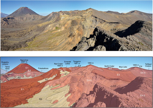 Figure 6. View looking southwest across Tongariro showing the relationship of ice-bounded lavas and breccia confined to high topography, and younger draping lavas and pyroclastic deposits that descend into the valley floors. Note also the symmetrical Ngāuruhoe cone, emplaced in a relatively ice-free environment. See Figure 3 for key to rocks labelled in the lower panel. Modified from Pure et al. (Citation2020).