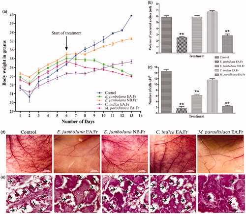 Figure 2. Effects of plant extracts on tumour growth and angiogenesis in vivo. (a) Body weights of EAT-bearing; untreated and treated with plant extracts were recorded. 6th day onwards, plant extracts (100 mg/kg body weight) was administered (i.p) for six days. The animals were sacrificed on the 12th day. EAT cells were collected along with ascites fluid and centrifuged, (b) secreted ascited volume, (c) EAT cell count assessed by trypan blue dye exclusion method, (d) representative photographs of the peritoneum of the untreated and treated mice and (e) peritoneal MVD marked by arrows in each peritoneum assessed by H and E staining of sections. At least five mice were used in each group and the results obtained are an average of three individual experiments and means of ± S.E.M. n = 5 per group.