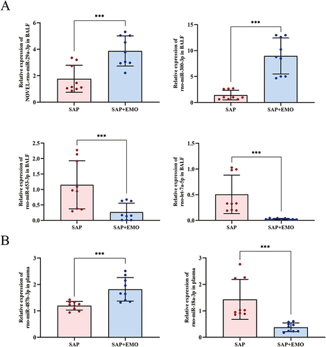 Figure 7 Verification of significantly DEmiRNAs. (A) The expression of NOVEL-rno-miR-29a-3p, rno-miR-300-3p, rno-miR-653-3p, and rno-let-7a-5p in exosomes derived from BALF. (B) The expression of rno-miR-487b-3p and rno-miR-18a-3p in exosomes derived from plasma. The data are presented as mean ± standard deviation of each group from three separate experiments. *** denotes p-value < 0.001.