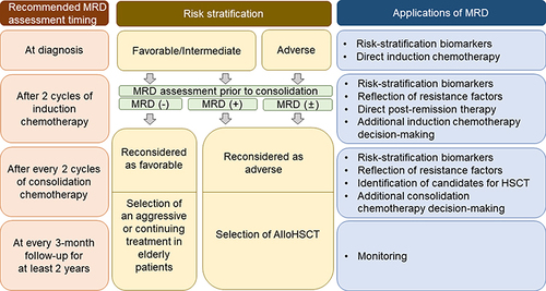 Figure 1 Summary of MRD in older adult AML patients. Characteristics of MRD in different treatment phases, and the most frequent uses of MRD are risk stratification prior to consolidation therapy and optimization of postremission therapy (consolidation chemotherapy).