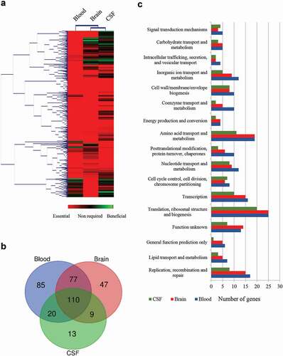 Figure 2. Global overview of Tn-Seq screen. (a) Hierarchical clustering of the complete gene set obtained for each infection site. The level of essentiality for each gene is color-coded as indicated. Genes with an increased log2 fold change lower than 2 were considered essential in vivo, higher than 2 were considered as beneficial; otherwise, they were considered as no required. (b) VENN diagram indicating the number of unique or shared essential genes within infection sites. (c) Categorization of gene ontologies of the essential gene set for blood, brain, and CSF according to genome annotations.