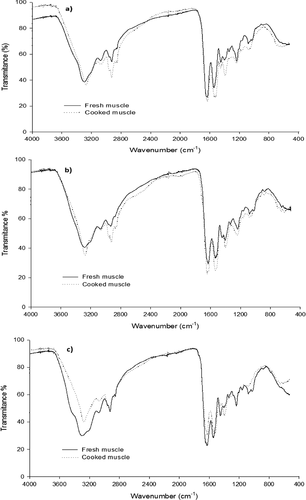 Figure 3. FTIR spectrum analysis of PSC extracted from fresh and cooked jumbo squid (Dosidicus gigas) muscle. (a) Fins; (b) arms; and (c) mantle.