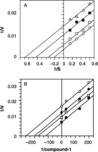 Figure 4 Inhibition of Bacillus pasteurii urease by 1. A: Lineweaver– Burk plot of reciprocal of initial velocities versus reciprocal of fixed Bacillus pasteurii urease substrate concentration in absence (○) and presence of 75.0 μM (▪ or □), 150.0 μM (▪), and 225 μM (Δ) of 1. B is the Dixon plot of reciprocal of the initial velocities versus various concentrations of 1 at fixed urea concentrations, (▪) 24 μM, (▪ or □) 18.0 μM, (•) 6.2 μM and (○) 2.0 μM. The unit is (μM/L/min)–1 in all cases.