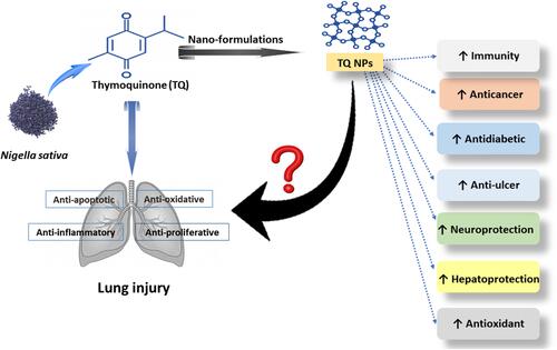 Figure 3 Thymoquinone (TQ) nanoformulations’ bioavailability, pharmacokinetics, and pharmacodynamic prospects against lung diseases.
