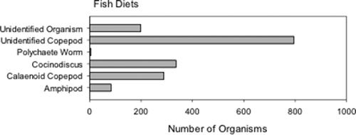 FIGURE 3. Pacific Sand Lance diets as a function of the numerical method (individual analysis of total number of organisms found in stomachs).