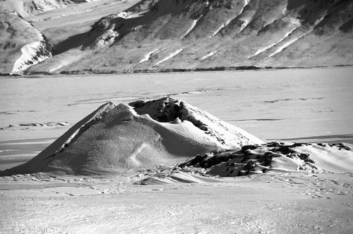 FIGURE 6. Frost blister at Gypsum Hill. Blister is approximately 1 m in height, 2 m in length, and is located within the Expedition River floodplain. The frost blister formed as discharge from the Gypsum Hill springs was injected into the soils of the Expedition River floodplain causing uplift of the frozen soil