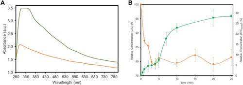 Figure 4 (A) UV–Vis absorption spectra of GO-CS (orange) and loaded GO-CS-Ext. (green). (B) Adsorption profile of Ext. on GO-CS in water (orange ●) and in vitro release profile of Ext. from GO-CS-Ext. (green ■) in PBS buffer (pH 7.4) at 37 °C.