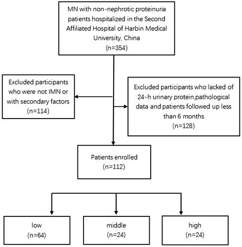 Figure 1. Flowchart of the study.