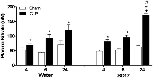 Figure 5 - Effect of SD17 treatment on plasma nitrate levels at 4, 6 and 24 after Sham or CLP operation. Values shown are means ± SEM. *p < 0.05 compared to the Sham group; +p < 0.05 compared to the same group (i.e., in comparison to the CLP + water groups 6 and 24 hand CLP + SD17 groups 4 and 6 h); #p < 0.001 compared to vehicle (water) treatment in the same period and same group (i.e., in comparison to the CLP + water group 24 h); n = 3–10 animals/group.