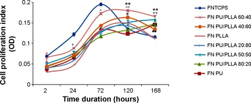 Figure 2 Comparison of proliferation of KG1a cells on different blends of fibronectin (FN)-coated scaffolds against FN-coated tissue culture plate systems (FNTCPSs) at different time points.Notes: Note the increased cell viability observed in polyurethane (PU)/poly-l-lactic acid (PLLA) 60:40 at 120 and 168 hours; a blend morphologically similar to the micro-nanofibrous bone marrow 3-D niche (Figure 1I vs V) compared to a tissue culture plate system and PU/PLLA 40:60. P≤0.04 for #FNTCPS vs PU/PLLA 50:50, +PU/PLLA 60:40 vs PU/PLLA 40:60, ^PU/PLLA 60:40 and PU/PLLA 50:50. P≤0.01 for **FNTCPS vs PU/PLLA 60:40, ##FNTCPS vs PU/PLLA 50:50, ++PU/PLLA 60:40 vs PU/PLLA 40:60, ^^PU/PLLA 60:40 vs PU/PLLA 50:50, ••FNTCPS vs PU/PLLA 40:60.