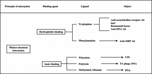 Figure 1. Mechanisms of PP selective molecule binding: physico‐chemical interaction.