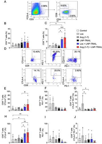 Figure 7 LNP-TRAIL combined with TME normalization enhances cytotoxic T lymphocyte response and reduces tumor progression. (A) Gating strategy for identification of CD8+ T cells within CD3+ live cells. Frequency quantification of live tumor-infiltrating (B) CD4+ T and (C) CD8+ T cells (n = 3–7 samples/group). (D) Representative dot plots of the relative levels of CTLA-4 and PD-1 in tumor-infiltrating CD4+ and CD8+ T cells of the Los + LNP-TRAIL group. Frequency quantification of (E) CTLA-4 and (F) PD-1 in tumor-infiltrating CD4+ human T cells (n = 3–7 samples/group). (G) Co-expression of CTLA-4 and PD-1 in tumor-infiltrating CD4+ T cells (n = 3–7 samples/group). Frequency quantification of (H) CTLA-4 and (I) PD-1 in tumor-infiltrating CD8+ human T cells (J) Co-expression of CTLA-4 and PD-1 in tumor-infiltrating CD8+ T cells (n = 3–7 samples/group). Data are presented as mean ± SD. One-way ANOVA followed by Tukey’s multiple comparison test (*p < 0.05; **p < 0.01; ***p < 0.001).