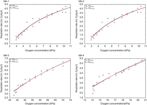 Figure 3. Correlation of head space O2 concentration (kPa) on the O2 consumption rate (mL/kg h) of minimally processed pomegranate arils stored at 5°C for 12 days in a closed system. MA-1: (5 kPa O2, 10 kPa, CO2 and 85 kPa N2); MA-2: (10 kPa O2, 5 kPa CO2 and 85 kPa N2), MA-3: (70 kPa O2, 10 kPa CO2 and 20 kPa N2); and MA-4 (air).Figura 3. Correlación de espacio de cabeza, concentración de O2 (kPa) en la tasa de consumo de O2 (mL/kg h) de arilos de granada mínimamente procesados y almacenados a 5°C durante 12 días en un sistema cerrado. MA-1: (5 kPa O2, 10 kPa, CO2 y 85 kPa N2); MA-2: (10 kPa O2, 5 kPa CO2 y 85 kPa N2), MA-3: (70 kPa O2, 10 kPa CO2 y 20 kPa N2); y MA-4 (aire).