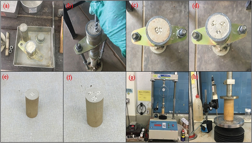 Figure 1. (a)–(h) Sample preparation and testing in laboratory.