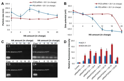 Figure 3 Characterization of small interfering RNA (siRNA) ternary complexes prepared in mixing order I: particle size (A) and zeta potential (B) of siRNA complexes with different amounts of hyaluronic acid (HA) (in charge); (C) gel retardation assay of siRNA/novel redox-responsive hyperbranched poly(amido amine) (named PCD)/HA (C1 and C2) and siRNA/polyethylenimine (PEI)/HA (C3 and C4) ternary complexes with different amounts of HA (from 4 to 20 in charge) in the absence of dithiothreitol (DTT) (C1 and C3) and in the presence of DTT (C2 and C4), the charge ratio of siRNA/polycation is equal to 1/20; (D) cellular uptake of fluorescein-labeled siRNA transfected by various siRNA formulations after incubation at 37°C for 4 hours in MCF-7 and MDA-MB-231 human breast cancer cells.Note: The untreated cells were used as the control.