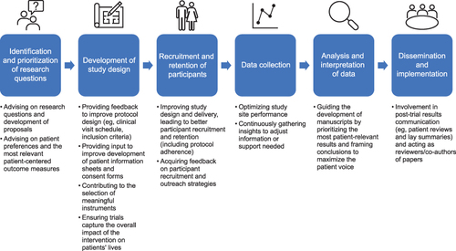 Figure 1 Patient involvement across the clinical trial lifecycle.