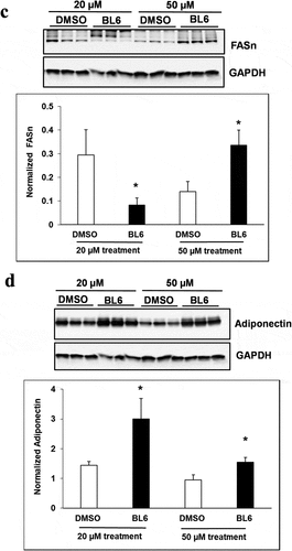 Figure 4. Continued