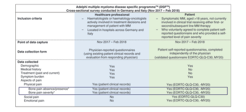 Figure 1. Overview of secondary analysis of a subset of patients within the Adelphi Multiple Myeloma DSP™. Supplementary Table 1 presents a short description of the questionnaires used for collecting outcomes data.*Reported symptom concordance was based on data for 330 patient–physician pairs. Each physician could be matched with more than one patient.