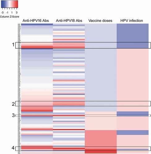 Figure 3. Heatmap analysis of seroprevalence, infection, and vaccination. Analysis of the levels of specific antibodies against HPV16 and 18, and their association with the presence of HPV infection and vaccination status were analyzed by heatmap. For the antibody levels the scoring star with blue color for negative or low levels and change to red color for higher amounts of antibodies detected by ELISA. For the vaccination status, the blue color represents unvaccinated girls and the increasing intensity in red represents 1, 2, or 3 doses of the HPV vaccine. Finally, for HPV infection blue color represent HPV- girls and light red color represent girls with HPV infection (any HPV). Each horizontal line represents one girl, and the sample number is indicated in the left side of the graph. Rectangles 1 and 2 show unvaccinated double seropositive girls, while rectangles 3 and 4 show vaccinated double seropositive girls.