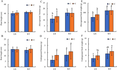 Figure 1. Effects of nitrogen reduction combined with Biochar on Plant height (A), Root length (B), Aboveground/Underground Biomass (C, D) and Aboveground/Underground fresh weight (E, F) of Tobacco plants. Notes: The addition of biochar to soil with reduced nitrogen levels is denoted as LN+C, no biochar is applied to nitrogen-reduced soils, which are abbreviated as LN-C. The addition of biochar to conventionally nitrogen fertilized soil is denoted as WT+C, no biochar is applied to conventional nitrogen fertilized soil is denoted as WT-C. The data in the figure are from three replicated (n  = 11), and represent means ± standard error (SE). Different lowercase letters indicate significant differences (P < 0.05).