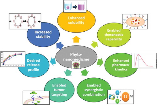 Figure 1. A schematic illustration showing the significance of phyto-medicinal nanocarriers.
