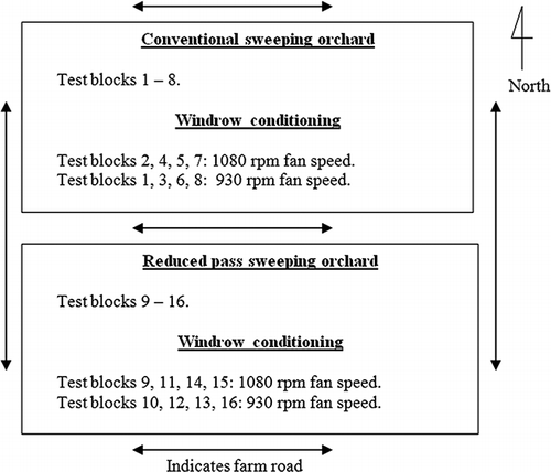 Figure 2. Orchard layout for sweeping and windrow conditioning tests (not to scale).