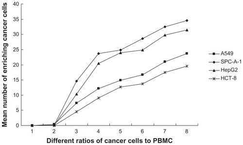 Figure 4 The mean number of enriching cancer cells from the different ratios of cancer cells to PBMC by MNP-pan-ck.Notes: When the ratio of cancer cells to PBMC is 1:5 × 106 (Group 3), the cancer cells are successfully enriched by MNP-pan-ck, and when the ratios of cancer cells to PBMC increases, the ability to enrich cancer cells is increased. The ratios of cancer cells to PBMC: Group 1, only PBMC; Group 2, 1:107; Group 3, 1:5 × 106; Group 4, 1:106; Group 5, 1:5 × 105; Group 6, 1:105; Group 7, 1:5 × 104; Group 8, 1:104.Abbreviations: PBMC, peripheral blood mononuclear cells; MNP-pan-ck, MNPs coupled with pan-cytokeratin antibody.
