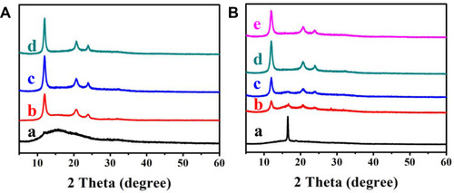 Figure 3 (A) XRD patterns of PLA/TTCP45 treated with different temperatures for 1 h. (a) 60°C; (b) 80°C; (c) 100°C; (d) 120°C; (B) XRD patterns of nanofiber membranes heated at 100°C for 1 h. (a) PLLA; (b) PLA/TTCP25; (c) PLA/TTCP35; (d) PLA/TTCP45; (e) PLA/TTCP55.