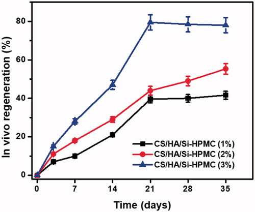 Figure 10. In vivo bone regeneration of the CS/HA/Si-HPMC hydrogels in different time periods. Data are presented as the mean ± SD (n = 3).