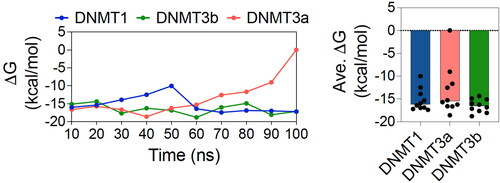 Figure 6. Free energy change of ligand binding. Graphs showing free energy change (ΔG) over the course of 100 ns MD simulations (with an interval of 10 ns) (left panel) and average (ΔG) (right panel) of ligand binding to DNMT1, DNMT3a and DNMT3b.