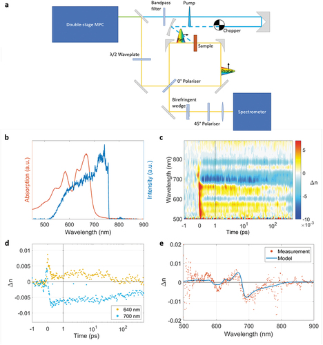 Figure 8. (a) Schematic of the set-up used for the Sagnac-FDI experiment on pentacene. (b) Absorption (red) and excitation (blue) spectrum. (c) False colour plot showing the refractive index change of pentacene with a fluence of 400 μJ/cm2. (d) Time traces centered at 640 and 700 nm. (e) Measured Δn spectrum (dots) and obtained by the model of Ashoka et al. [Citation35], 500 fs after excitation.