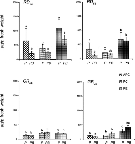 Fig. 4. Phycobiliprotein concentrations of four strains of Gracilaria birdiae. Data were obtained from algae cultivated in different conditions: photosynthetically active radiation, PAR (control), P and PAR+UV-B (0.08 W m–2), PB. APC, allophycocyanin; PC, phycocyanin; PE, phycoerythrin. Data presented as mean ± SD (N = 3). Treatments with different letters indicate significant differences according to one-way ANOVA and Newman–Keuls test (P < 0.05).