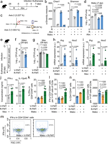 Figure 6. L-Arginine-mediated gut microbiome remodeling contributes to antimicrobial host defense against NTM-PD.