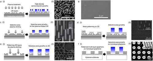 Figure 3. Controlled growth of semiconductor structures in 2D. (a) (i) Schematic of high-density growths by generating artificial step edges on pristine 2D layers and (ii) SEM image of high-density ZnO nanowalls formed on the plasma-treated graphene layers. From [Chung et al., Science 330, 6004 (2010)] Reprinted with permission from AAAS. (b) Uniform and full coverage GaN thin film grown on the ZnO-coated graphene layers. From [Chung et al., Science 330, 6004 (2010)], reprinted with permission from AAAS. (c) (i) Schematic of the selective-area growth by activating preferable nucleation sites on pristine 2D layers and (ii) SEM image of ZnO nanotubes fabricated on graphene layers using the corresponding method. The inset shows a magnified image of the ZnO nanotube. Reprinted from [Kim et al., Adv. Mater. 24, 41 (2012)] with the permission of John Wiley and Sons. (d) (i) Schematic of position-controlled growth on 2D layers using a conventional mask layer and (ii) the ZnO nanotubes selectively grown on CVD graphene films using the corresponding method. The inset shows the magnified image of the nanotubes. Reprinted from [Park et al., APL Mater. 4, 106104 (2016)] with the permission of AIP Publishing. (e) (i) Schematic of the selective-area growth using patterned 2D arrays and (ii) the GaN microdisk arrays selectively grown on graphene dots using the corresponding method. The inset displays the magnified image of the GaN microdisk. Reprinted (adapted) with permission from [Baek et al., Nano Lett. 13, 6 (2013)]. Copyright {2013} American Chemical Society. (f) (i) Schematic of the selective-area growth using remote epitaxy with thickness-controlled 2D patterns and (ii) the ZnO micro rods selectively grown on GaN/sapphire substrate with patterned graphene interlayer using the corresponding method. Reprinted (adapted) with permission from [Jeong et al., ACS Appl. Nano Mater. 3, 9 (2020)]. Copyright {2020} American Chemical Society.