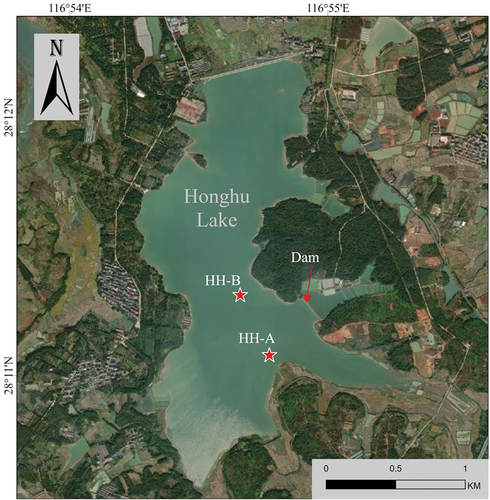 Figure 1. The Map of Hong Lake and the sampling site.