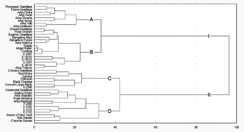 FIGURE 1 Dendrogram showing the clustering patterns of 42 Indian grapevine genotypes based on morphological characters.